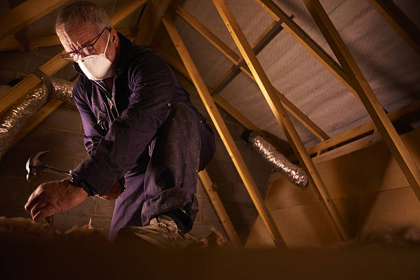 Best Insulation for Specific Applications in San Rafael, NM